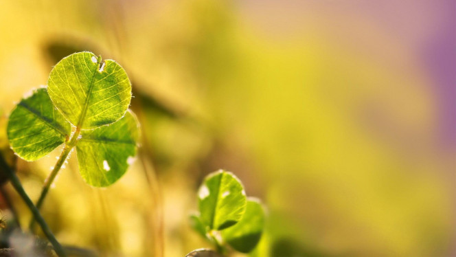 一张美味的图片 &middot; #721