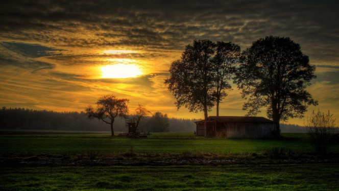 一张美味的图片 &middot; #4131