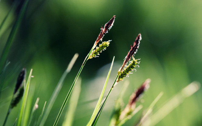 一张美味的图片 &middot; #1756