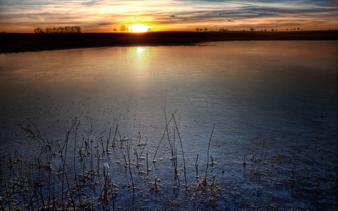 一张美味的图片 &middot; #3185