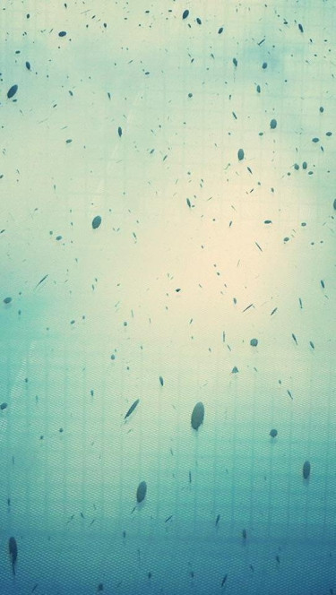 一张美味的图片 &middot; #120