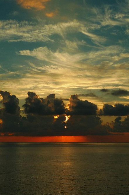 一张美味的图片 &middot; #234