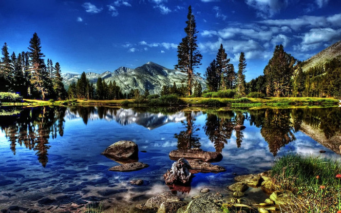 一张美味的图片 &middot; #1614