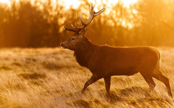 一张美味的图片 &middot; #4038