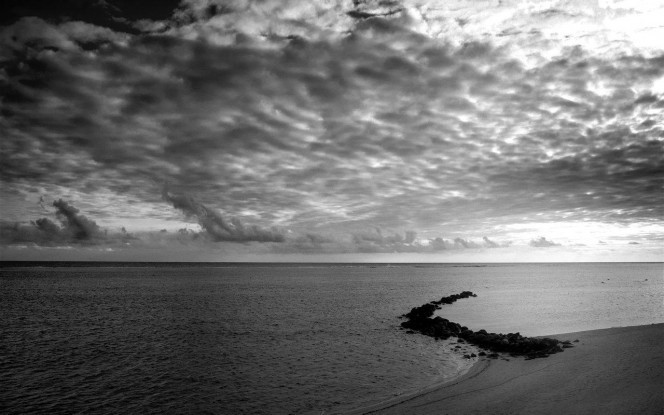 一张美味的图片 &middot; #2150