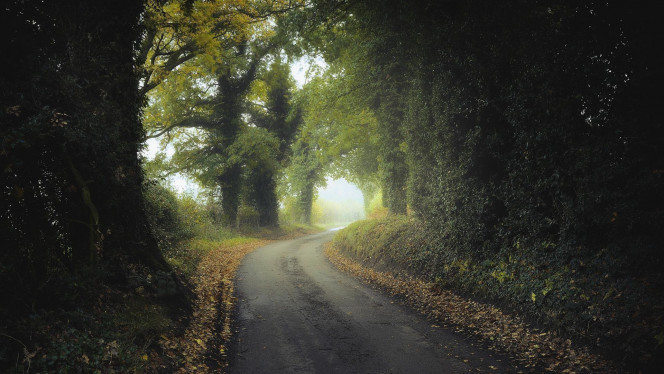 一张美味的图片 &middot; #795