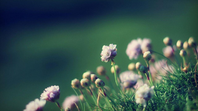 一张美味的图片 &middot; #3605