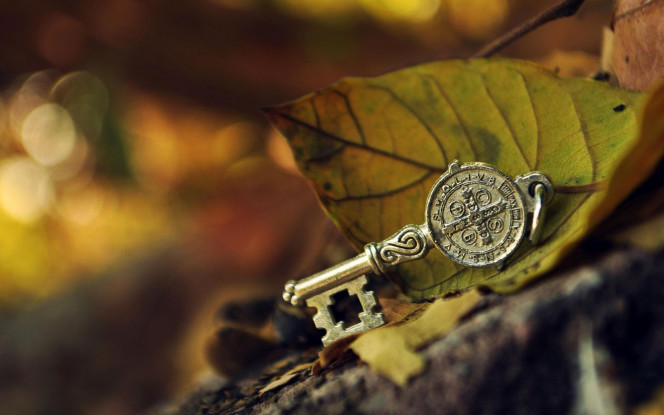 一张美味的图片 &middot; #3380