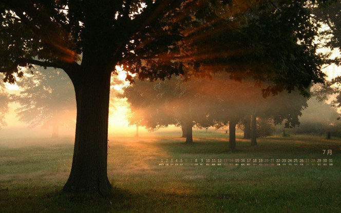 一张美味的图片 &middot; #2634