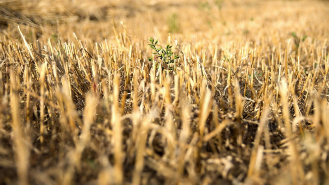 一张美味的图片 &middot; #2100