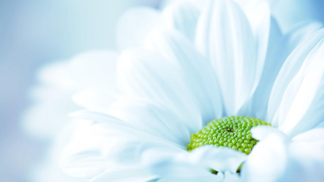 一张美味的图片 &middot; #3479