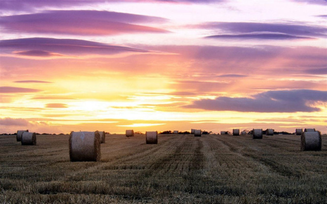 一张美味的图片 &middot; #3652