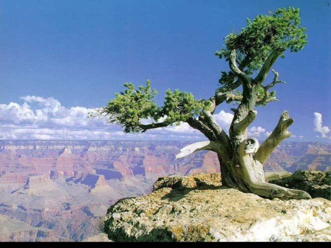 一张美味的图片 &middot; #935