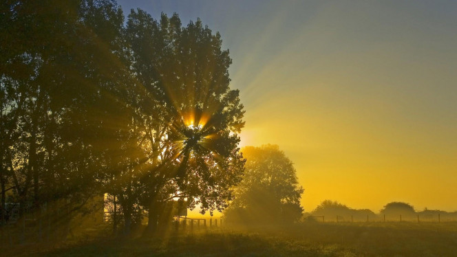 一张美味的图片 &middot; #4234