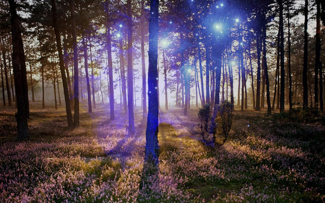 一张美味的图片 &middot; #1100