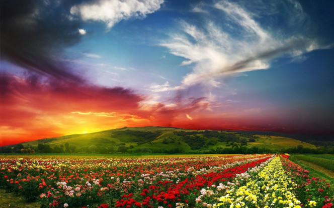 一张美味的图片 &middot; #760