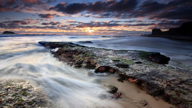 一张美味的图片 &middot; #4165