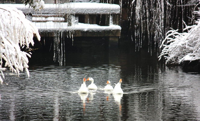 一张美味的图片 &middot; #1419