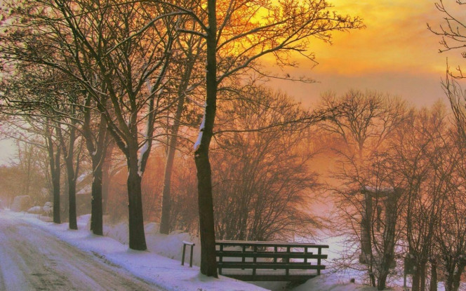 一张美味的图片 &middot; #2301