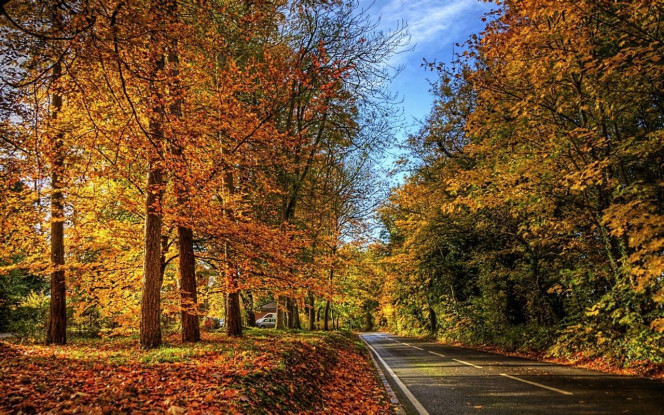 一张美味的图片 &middot; #4046