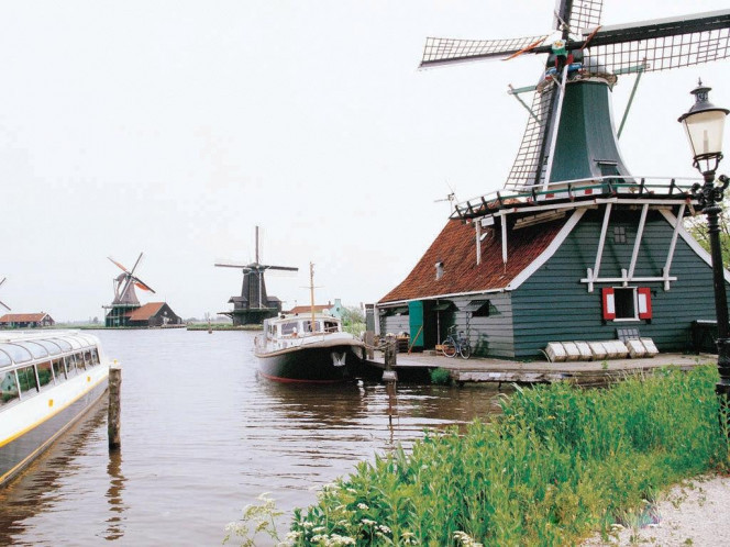 一张美味的图片 &middot; #1155