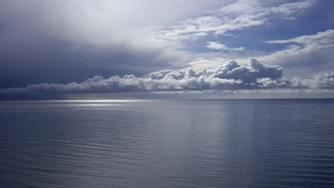 一张美味的图片 &middot; #3916