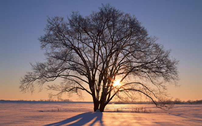 一张美味的图片 &middot; #2218