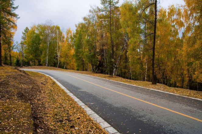 一张美味的图片 &middot; #2093