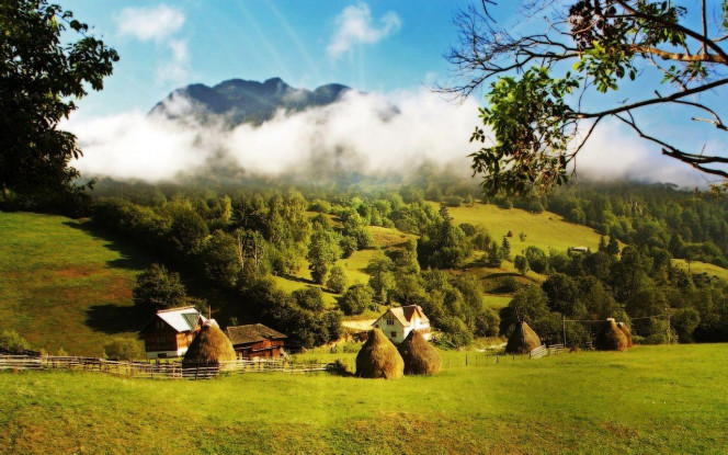 一张美味的图片 &middot; #2428