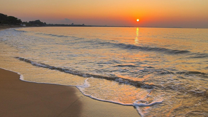 一张美味的图片 &middot; #4535