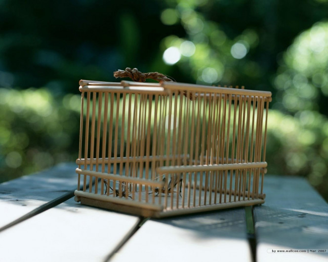 一张美味的图片 &middot; #704