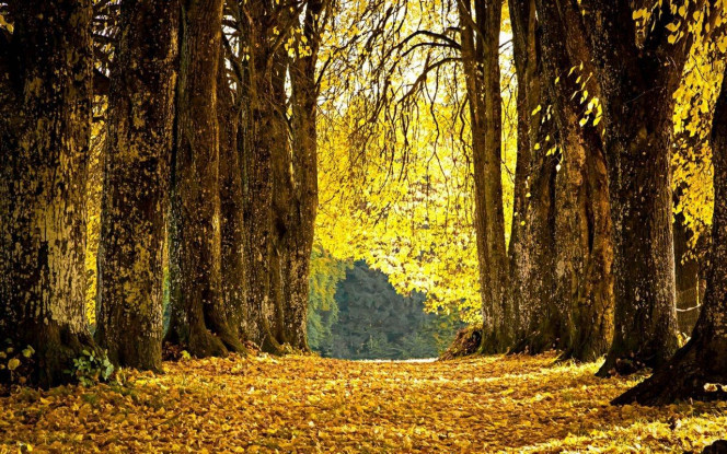 一张美味的图片 &middot; #4023