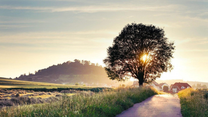 一张美味的图片 &middot; #4236