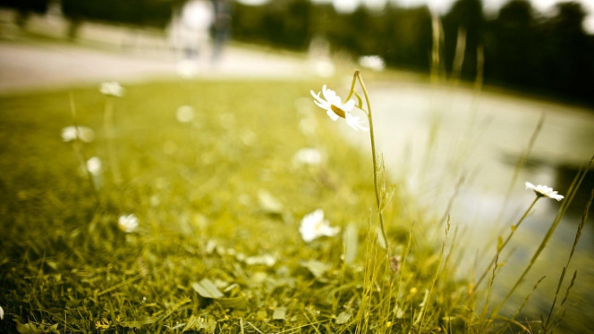 一张美味的图片 &middot; #4470