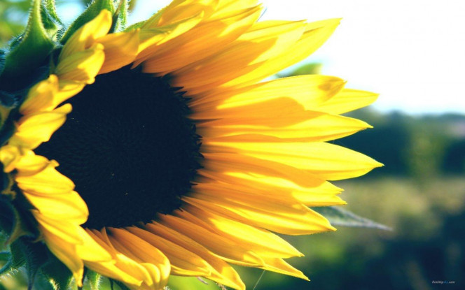 一张美味的图片 &middot; #3205