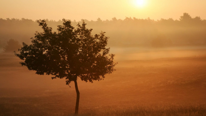 一张美味的图片 &middot; #4231