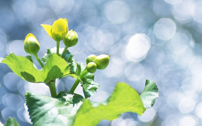 一张美味的图片 &middot; #2999