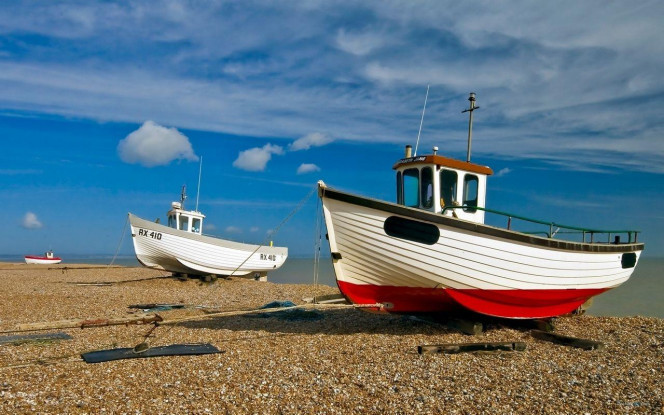 一张美味的图片 &middot; #3043