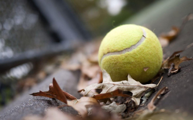 一张美味的图片 &middot; #2997