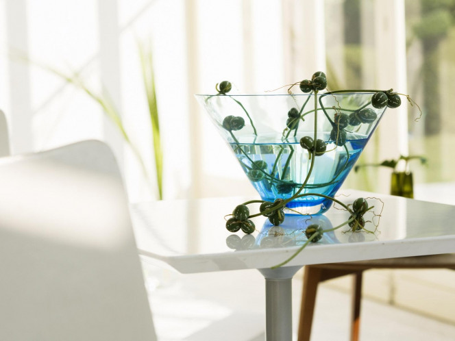 一张美味的图片 &middot; #546