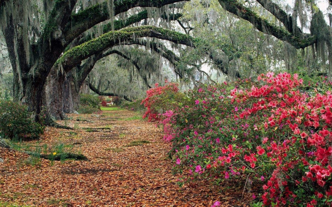 一张美味的图片 &middot; #2718