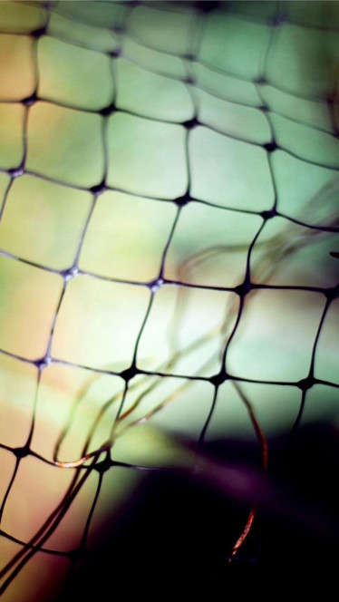 一张美味的图片 &middot; #189