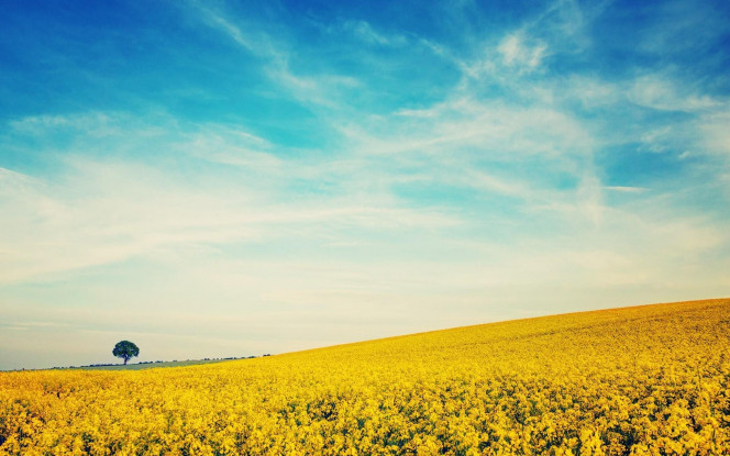 一张美味的图片 &middot; #1172