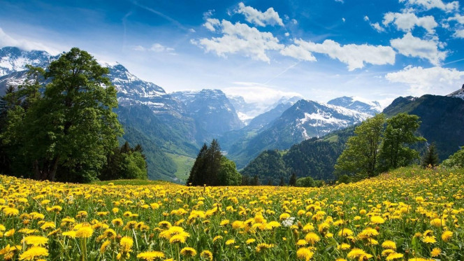 一张美味的图片 &middot; #2664