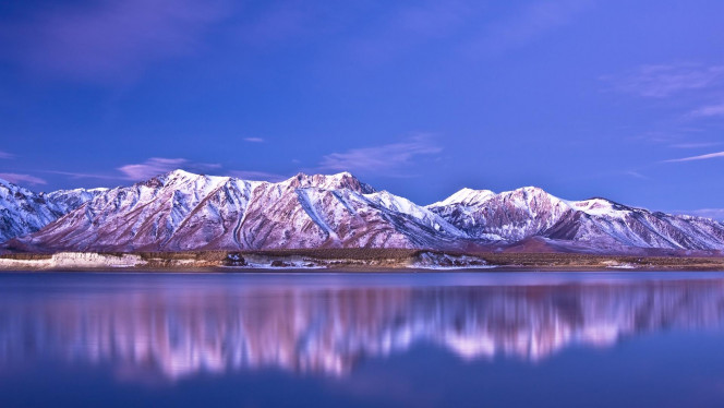 一张美味的图片 &middot; #4350