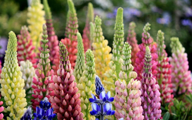 一张美味的图片 &middot; #2210