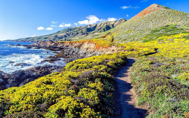 一张美味的图片 &middot; #4164