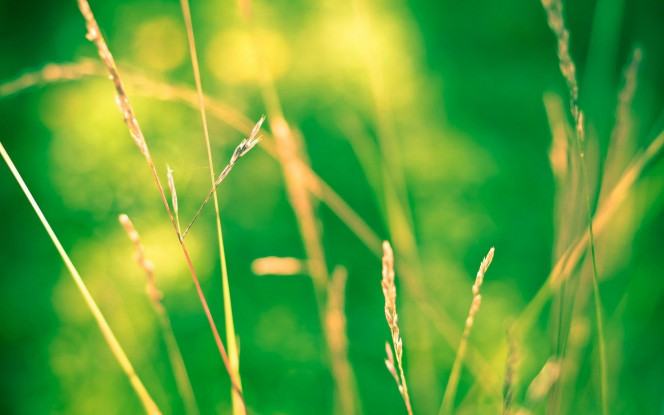 一张美味的图片 &middot; #1890