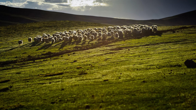 一张美味的图片 &middot; #4067