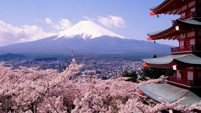 一张美味的图片 &middot; #4059